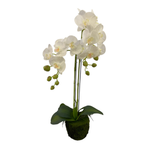 Orquidea artificial blanca con tronco y musgo