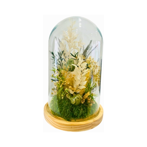 Cupula de cristal