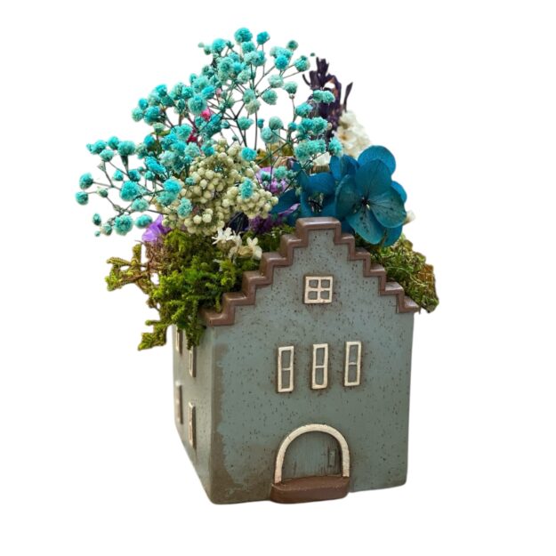 Casita preservada